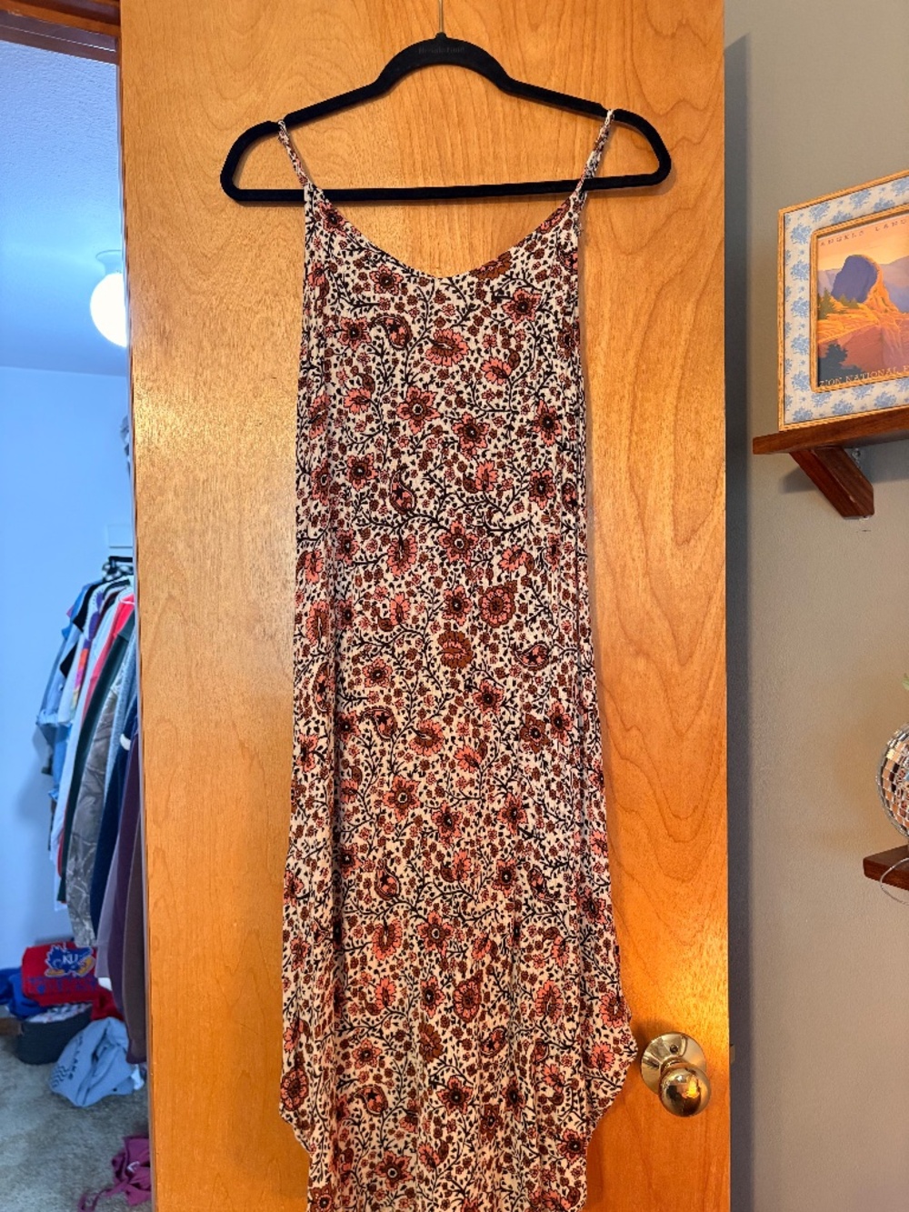 Amuse Society Dress
